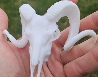 A1 White 3D Printed Realistic Ram/Goat/Sheep Skull Custom Colors, Sizes