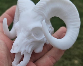 A1 White color Ram Skull – Realistic Decorative - Made in USA