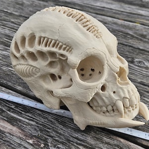 A1 Yautja Hunter Skull Model | Sci-Fi Fantasy Desk Decor | Cosplay Prop Gift