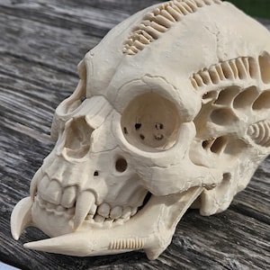 May include: A detailed, off-white alien skull sculpture with intricate carved details. The skull features large eye sockets, sharp teeth, and a complex cranial structure. The sculpture is set against a weathered wooden surface.