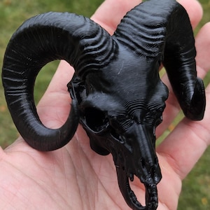 May include: A black ram skull sculpture with detailed horns and facial features. The sculpture is held in a hand, showcasing the intricate design and texture of the artwork. The skull is a dark, matte black.