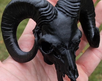 A1 Black bone color Ram Skull – Realistic Decorative - Made in USA