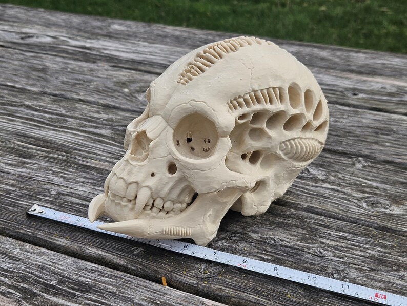 3D Printed Alien Skull Sculpture, Xenomorph Predator Head, Sci-fi ...