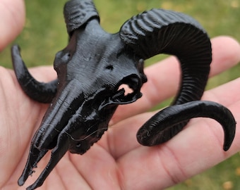 Cráneo de carnero, cabra u oveja realista impreso en 3D, negro, colores y tamaños personalizados