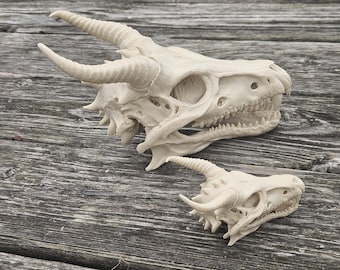 Fantasy creature skull head dragon dinosaur bone structure Available in two size