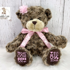 Teddy Bear Birth Stats Stuffed Animal, Personalized Plush Bear Birth Announcement, My First Teddy Bear, Custom Newborn Baby Girl Gift