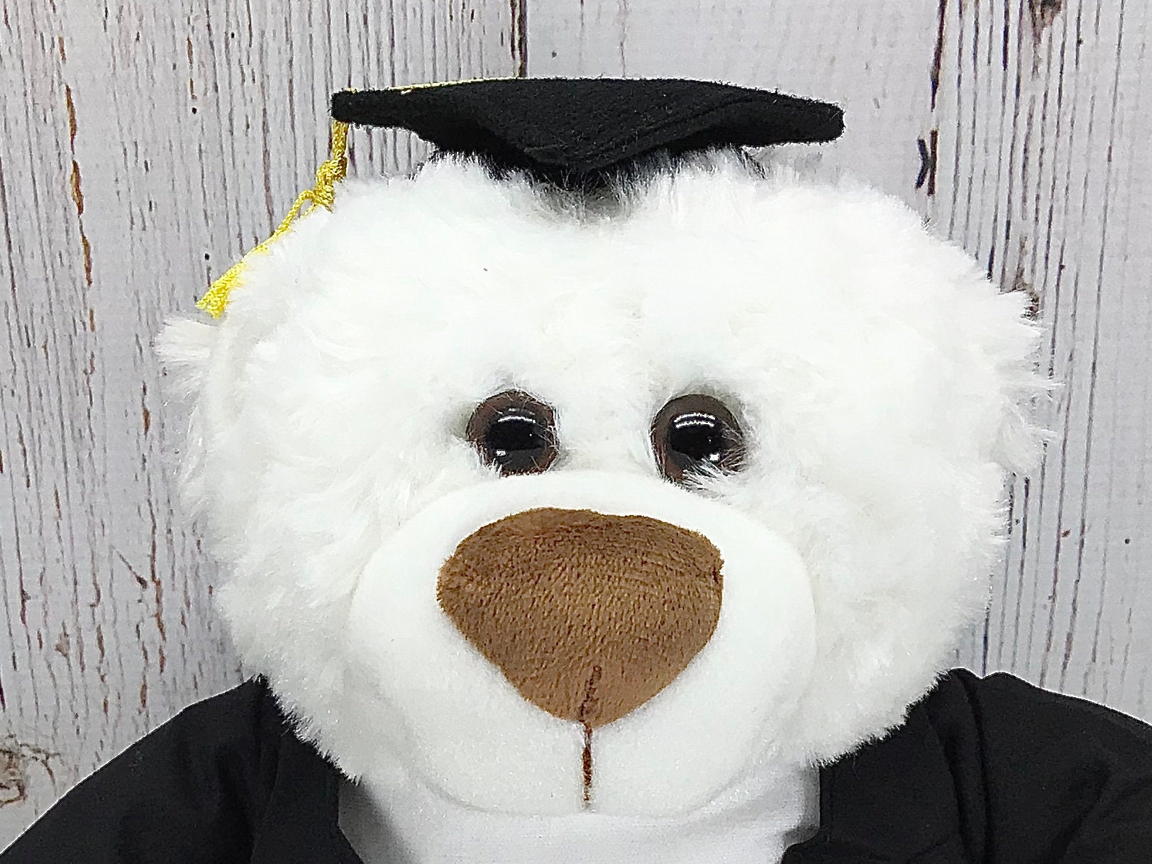 Class of 2022 Graduation Teddy Bear Graduation Senior Gift Etsy