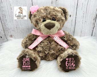 Weighted Teddy Bear Birth Stats Stuffed Animal, Personalized Plush Bear Birth Announcement Baby's Weight, Custom Newborn Teddy Birth Stat