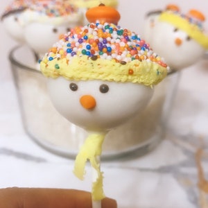 Snowman/Frozen/ Winter Cakepops (10)
