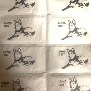 Luna Ice Packs: Cold Shipping, Set of 2
