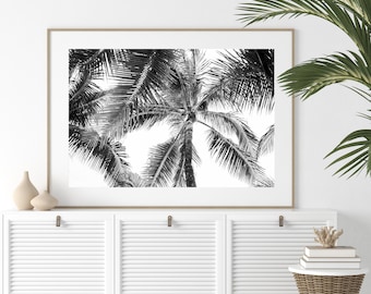 Black and White Palm Tree Photo: Tropical Beach Decor (Digital Print)