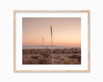 Big Bend Desert Sunrise Print: Boho Home Decor (Digital Download)