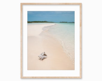 Stampa fotografica sulla spiaggia: acqua dell'oceano, decorazioni costiere con conchiglie (download digitale)