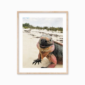 Lámina artística de Iguana Feliz: Decoración de pared tropical (Descarga digital)