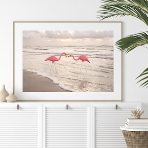 Impresión fotográfica de flamenco rosado: Fotografía de aves tropicales de playa (Descarga digital)