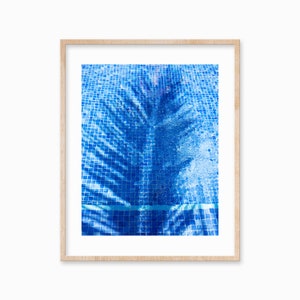 Peut inclure: Gros plan d'une piscine carrelée bleue avec l'ombre d'un palmier reflétée dans l'eau.