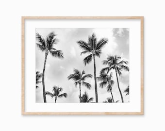 Black and White Palm Tree Art Print: Tropical Decor (Digital Download)