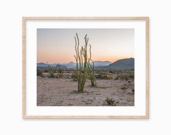 Desert Print, Printable Wall Art, Wall Decor Home Decor, Boho Wall Art, Cactus Print, Desert Travel, Téléchargement numérique