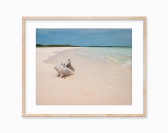 Stampa di conchiglie sulla spiaggia: decorazione dell'isola di Exumas (download digitale)