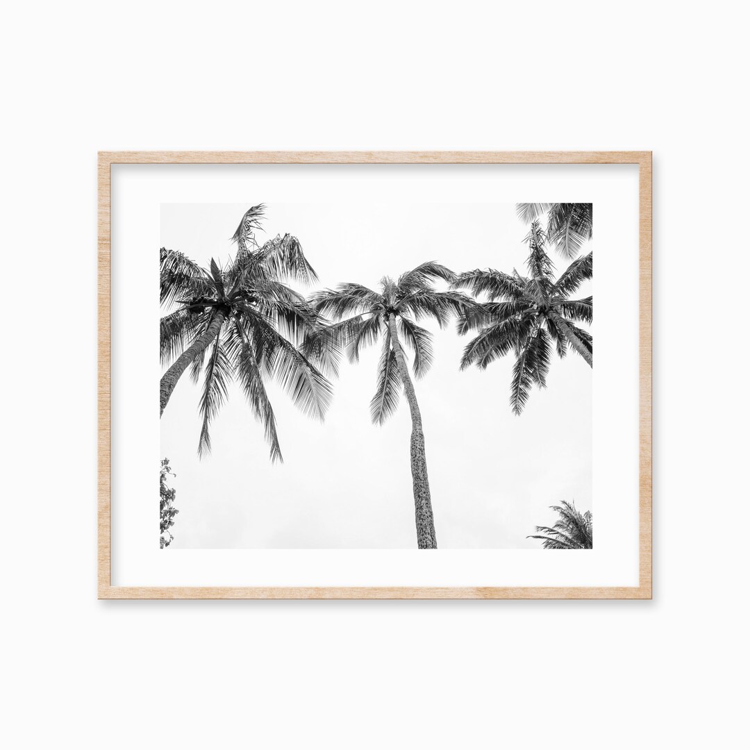 Black and White Palm Tree Print: Hawaiian Coastal Art (digital Download ...