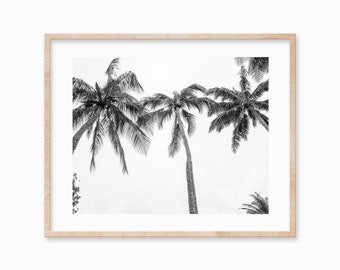 Schwarz & weiß drei Palmen Druck Hawaiian Art druckbare digitaler Download Strand Küste Wand Kunst Dekor große Palme Poster botanisch