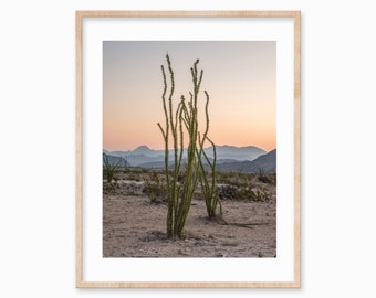 Stampa del deserto di Ocotillo: paesaggio del Texas, arte murale boho (download digitale)