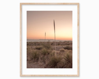 Desert Print, Printable Wall Art, Wall Decor Home Decor, Boho Wall Art, Sunrise, Sunset Print, Desert Travel, Digital Download