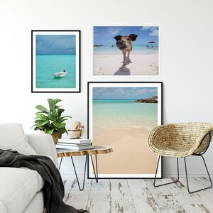 Puede incluir: Tres fotograf&iacute;as enmarcadas de una escena de playa con agua turquesa y arena blanca. La foto de arriba muestra un cerdo de pie en la playa. La foto del medio muestra un bote en el agua. La foto de abajo muestra una playa con agua turquesa y arena blanca.