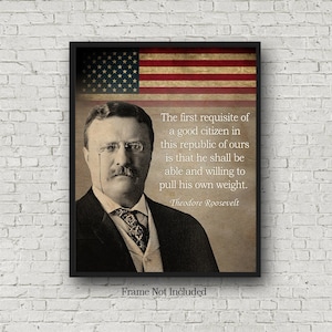 Theodore Roosevelt Quote, 4th Of July Gift Wall Art, Inspirational Americana Decor President Roosevelt, Veterans Patriotic Living Room Sign