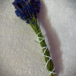 Fresh Sunshine Dried English Lavender/Mint bundles Hand-picked Home-grown*large*
