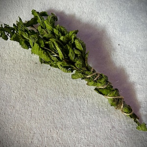 Fresh Sunshine Dried Mint bundles Hand-picked Home-grown