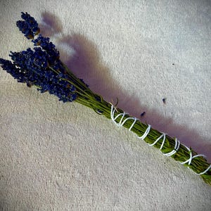 Fresh Sunshine Dried English Lavender bundles Hand-picked Home-grown*medium*