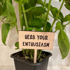 May include: A wooden plant marker with the text "Herb Your Enthusiasm" in black lettering. The marker is stuck in a pot of green basil.