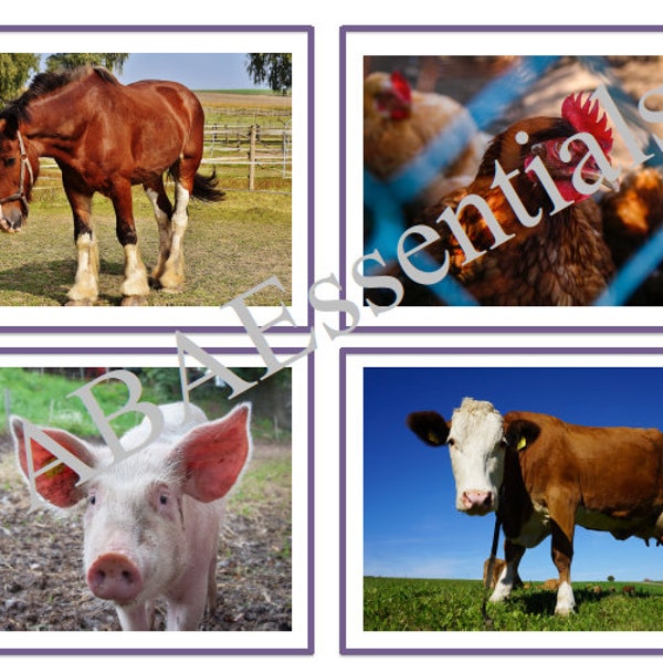 Animal Flashcards (20)