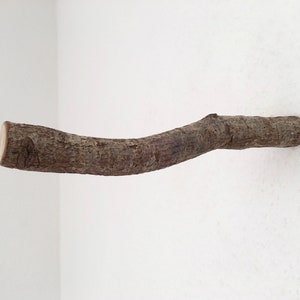 Holzhaken, Wandhaken, Toilettenpapierhalter, Ast I Astdurchmesser 2,5 4 cm 画像 6