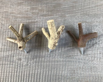 Set of 3 coat hooks, towel rails, wall hooks, coat hooks "W W W" branch diameter (0.9 - 2.0 cm)