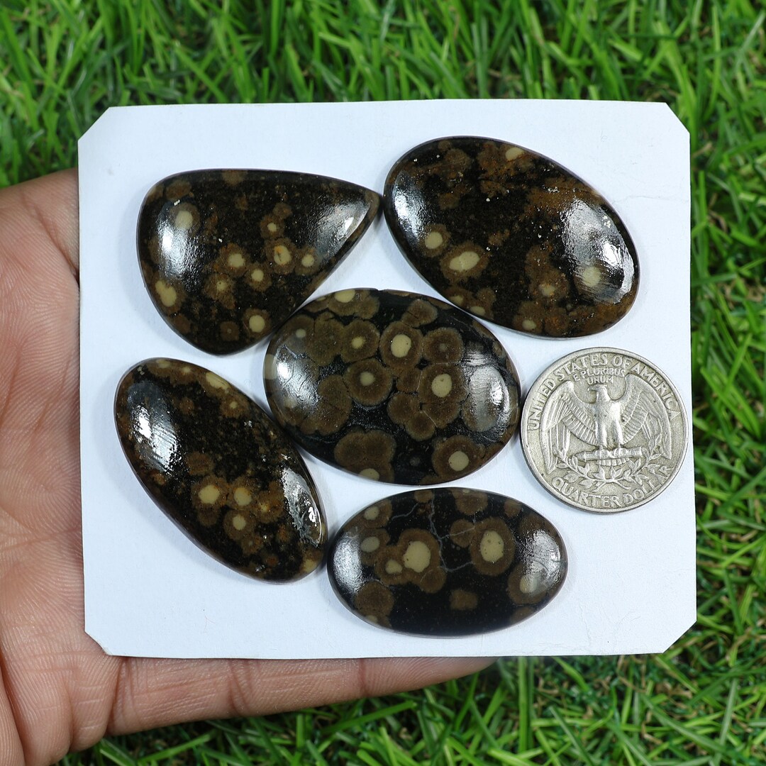 Variotite Tph Variolite Scapolite Cabochon Lot, Handmade Gemstone Wholesale Gemstone ...