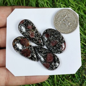 Peut inclure: Quatre pierres précieuses polies avec un motif noir et gris moucheté et des inclusions rouges. Les pierres sont en forme de goutte et ovales. Une pièce de monnaie américaine est à côté des pierres pour la comparaison de taille.