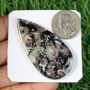 May include: A polished, teardrop-shaped gemstone with a speckled pattern of black, white, and maroon. A coin is placed next to the stone for size comparison. The stone is on a white surface against a green background.