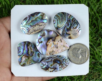 Amazing Abalone Shell Slice Stone, 5 Pieces 231 Carat, AAA Alluring Abalone Shell Gems, Mix Shape Abalone Shell Slice, Gift For Her