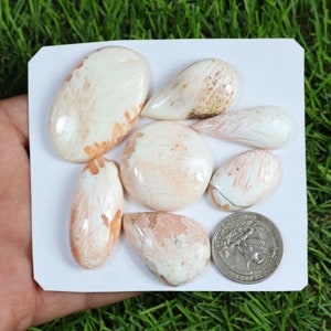 Scolecite Gemstone Lot, 7 Pcs 250 Carat, Orange Scolecite Gemstone Cabochon, Making For Silver Jewelry Supply, Gift For Woman And Girls