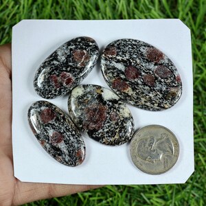 Peut inclure: Quatre pierres précieuses ovales avec un motif moucheté noir, blanc et gris, rehaussé de taches rouges. Une pièce de monnaie en argent est placée à côté des pierres pour la comparaison des tailles. Les pierres sont sur une surface blanche.