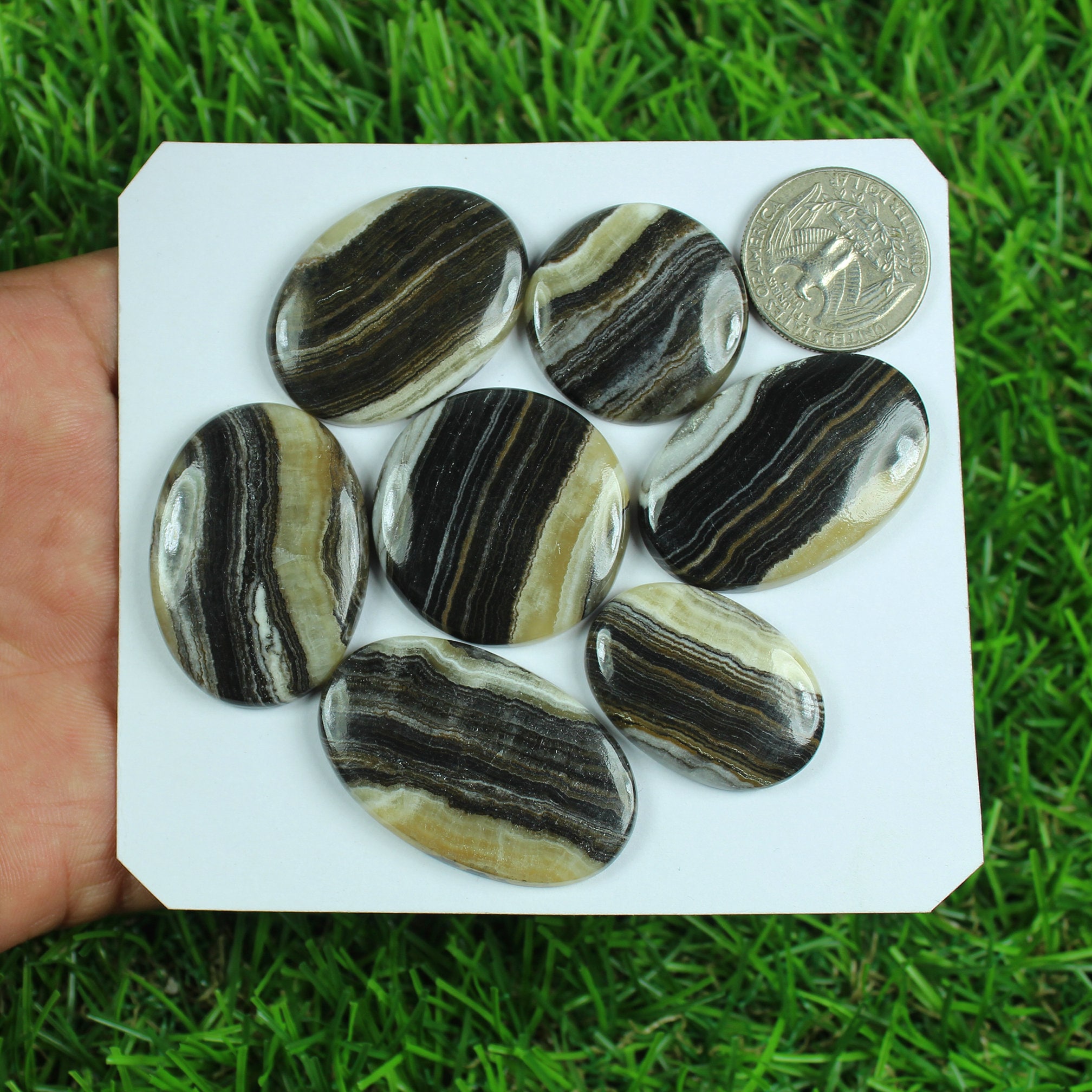 Natural Zebra Jasper Cabochon Gemstone Rare Zebra Jasper 7 Etsy
