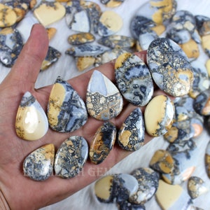 K&ouml;nnte beinhalten: Eine Sammlung von tropfenf&ouml;rmigen, polierten, nat&uuml;rlichen Edelstein-Cabochons. Die Steine sind eine Mischung aus Braun, Gelb, Grau und Wei&szlig; mit einem gesprenkelten Muster.