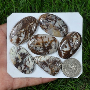 Cabochons de jaspe coco : 6 pierres précieuses à dos plat en forme de mélange