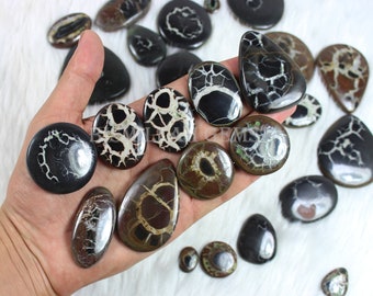 May include: A collection of polished, natural, black and white, agate cabochons with a variety of patterns and shapes. The cabochons are displayed on a white, fuzzy surface.