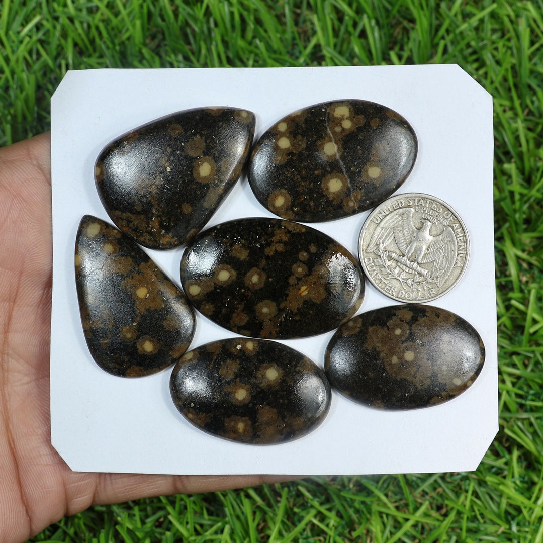 Variotite Tph Proper Variolite Gemstone 6 Pieces 235 Carat Approx 40X26 Mm Brown ...
