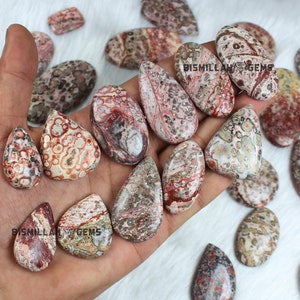 May include: A collection of 14 teardrop-shaped, polished, red, brown, and white ocean jasper cabochons. The cabochons have a unique, speckled pattern.