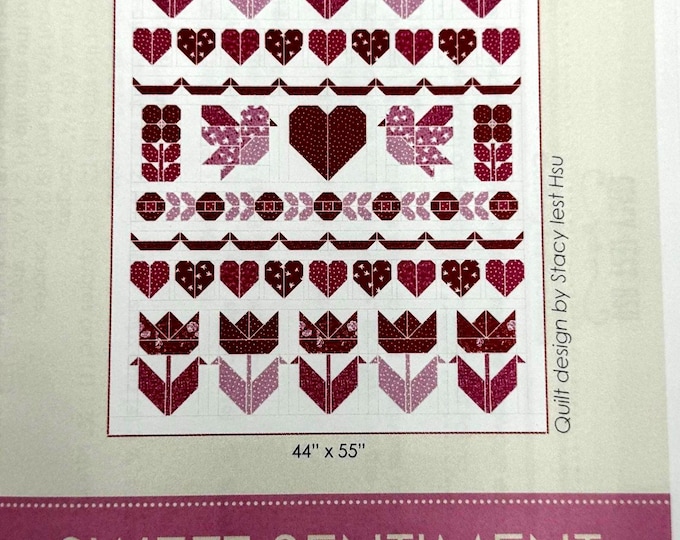 Quilt Kit Sweet Sediments Designed by Stacy Iest Hsu