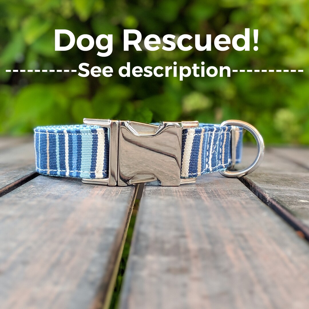 Blue Striped Dog Collar Silver Hardware Comes With Rescue Etsy